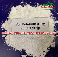 12 Cách sử dụng Dolomite cho nông nghiệp.