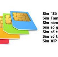 Toàn sim 10 số mobi giá rẻ - giao sim tận nơi toàn quốc