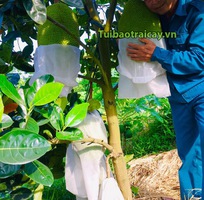 2 Tìm đại lý phân phối Túi vải bao trái cây kích thước 50x70 trên toàn quốc