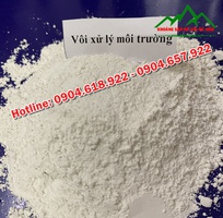 16 Công dụng của vôi đối với môi trường.