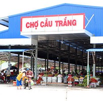 417 Q20 Araq ngoại hình 99,99%