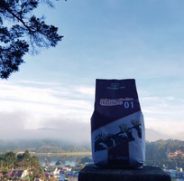 1 Cà Phê Sạch Mountain Coffee 01   Trường Tín  gói 500g, Giá: 90000 vnđ