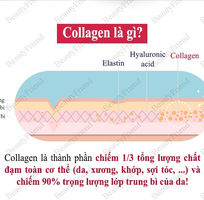 1 Collagen từ vẩy cá Re:tune Fish Scale Collagen Peptide - Cho nàng tươi trẻ