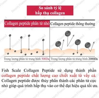 4 Collagen từ vẩy cá Re:tune Fish Scale Collagen Peptide - Cho nàng tươi trẻ