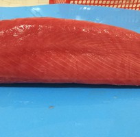 Hai Trieu Food - Thịt thân cá ngừ đại dương  Loin  giá tốt