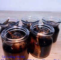 4 Bán Tinh dầu Cà Cuống , Cà Cuống đực tinh dầu thơm chất lượng tại Hà Nội