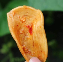 1 Gói 500gr Bánh tai heo mắm ớt giòn thơm ngon - Food by Mama 1 Gói 500gr Bánh tai heo mắm ớt giòn thơm ngon - Food by Mama