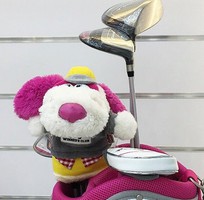 4 Bọc đầu gậy golf colly s bulless eagle putter headcover