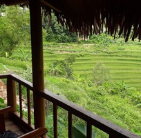 7 Chuyên tổ chức tour Du Lịch Thăm Quan Tại Thanh Hóa