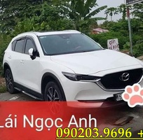 15 Cho thuê xe tự lái Cerato bản 2019 xe mới đẹp đi du lịch hoặc công tác xa 15 Cho thuê xe tự lái Cerato bản 2019 xe mới đẹp đi du lịch hoặc công tác xa