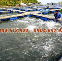 5 Vôi xay nóng nuôi trồng thủy sản