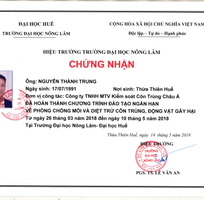 11 Diệt trừ mối tận gốc 100 tại Đà Nẵng - Cam kết hết mối mới thu tiền dịch vụ, bảo hành từ 1-2 năm