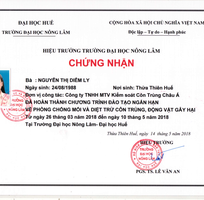 12 Diệt trừ mối tận gốc 100 tại Đà Nẵng - Cam kết hết mối mới thu tiền dịch vụ, bảo hành từ 1-2 năm