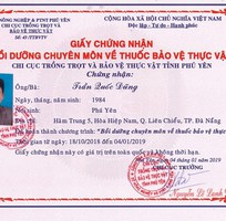 16 Diệt trừ mối tận gốc 100 tại Đà Nẵng - Cam kết hết mối mới thu tiền dịch vụ, bảo hành từ 1-2 năm