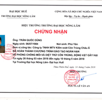 13 Diệt trừ mối tận gốc 100 tại Đà Nẵng - Cam kết hết mối mới thu tiền dịch vụ, bảo hành từ 1-2 năm