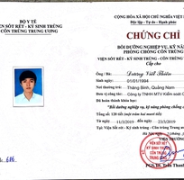 14 Diệt trừ mối tận gốc 100 tại Đà Nẵng - Cam kết hết mối mới thu tiền dịch vụ, bảo hành từ 1-2 năm