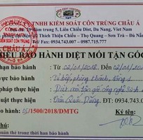 6 Diệt trừ mối tận gốc 100 tại Đà Nẵng - Cam kết hết mối mới thu tiền dịch vụ, bảo hành từ 1-2 năm