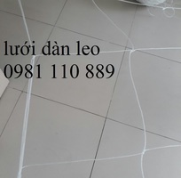 Lưới  leo dàn trồng cây hoa