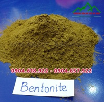 1 Báo giá bentonite nông nghiệp 2021