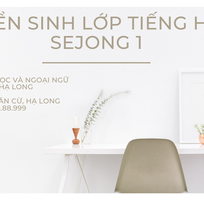 Ngoại ngữ Panda Hạ Long tuyển sinh lớp Tiếng Hàn sơ cấp Sejong1