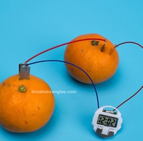 Bộ thí nghiệm đồng hồ lấy điện từ trái cây