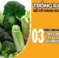 Nông Sản Dũng Hà đồng hành các loại hạt giống cây trồng với bà con nông dân