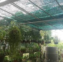 1 Lưới che nắng trồng rau sạch, lưới che nắng vườn lan