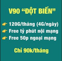 Sim V90 Đột Biến 