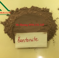3 Chất kết dính Bentonite giá rẻ sử dụng trong thức ăn chăn nuôi