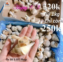 Ốc bulot là gì  Ăn có ngon không