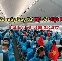 Bán vé máy bay từ Mỹ về Việt Nam cho chuyên gia, Việt Kiều