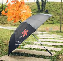 3 Cung cấp Ô Dù In Logo Số Lượng Lớn Giá Xuất Xưởng