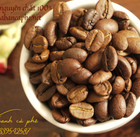 1 Cung cấp cà phê hạt nguyên chất giá sỉ 24 tháng tại Thuận An,Bình Dương