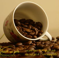 Cà phê hữ cơ thải độc,Mua cafe organic ở đâu ngon tại Biên hòa, Đồng Nai