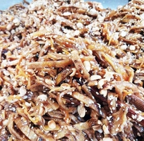 Hộp 500gr Chuối xiêm ép thái sợi xào gừng trộn đậu phộng mè thơm ngon