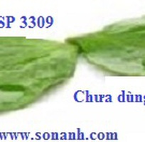 1 Siêu trải bề mặt tăng bám dính cho thuốc trừ sâu Bluesil SP 3309