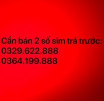 1 Bán sim tam hoa 8 trả trước