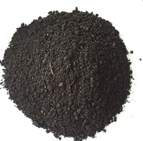 3 Than bùn,đất mùn,đất hữu cơ,đất sạch,phân trộn,phân bón,đất trồng cây,giá thể,phân hữu cơ