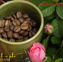 Cung cấp cà phê hạt nguyên chất giá sỉn 1 năm ổn định tại Biên Hòa ĐỒng Nai