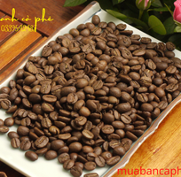 1 Cung cấp cà phê hạt nguyên chất giá sỉn 1 năm ổn định tại Biên Hòa ĐỒng Nai