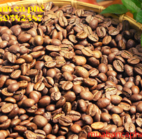 2 Cung cấp cà phê hạt nguyên chất giá sỉn 1 năm ổn định tại Biên Hòa ĐỒng Nai