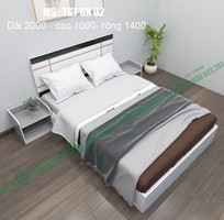 Giường ngủ nhựa Đài Loan Chinhuei cao cấp