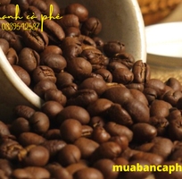1 Chuyên cung cấp cà phê hạt tại TPHCM