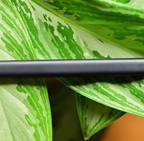 3 Surface Slim Pen - Viết cảm ứng cho Surface Pro X kèm sạc không dây - Nguyên SEAL