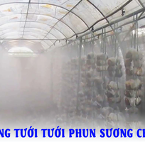 Hệ thống máy phun sương tạo ẩm trong nuôi trồng nấm