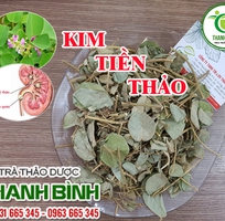 Kim tiền thảo giá bao nhiêu