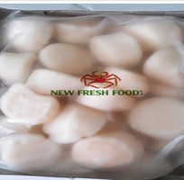 1 Cồi Sò Điệp Nhật Hokaisho - New Fresh Foods