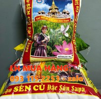 2 Bao pp dệt chuyên đựng gạo, đựng lúa giống in trục đồng ghép màng OPP