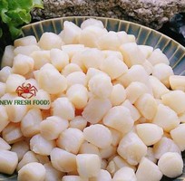 Cồi Sò Điệp Việt Nam - New Fresh Foods