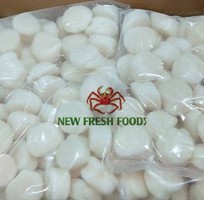2 Cồi Sò Điệp Việt Nam - New Fresh Foods